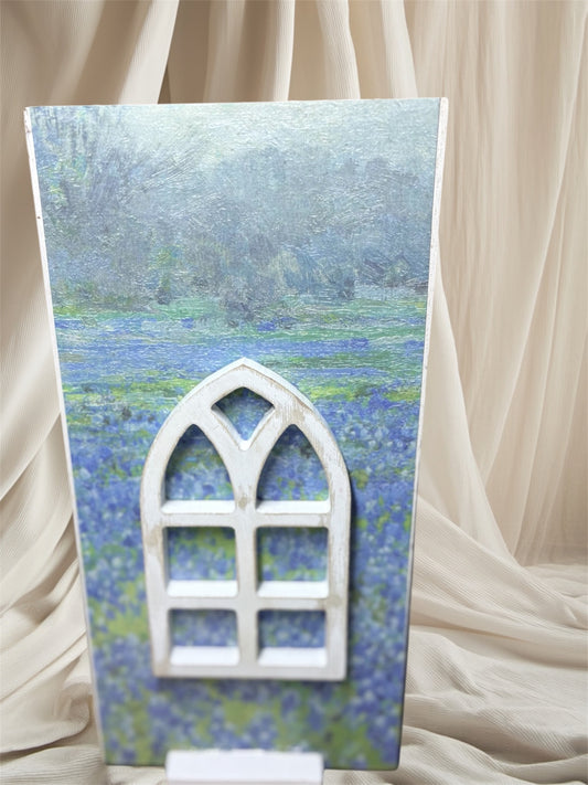 Window into the Bluebonnets